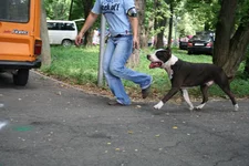 IMG_1843-1.webp