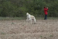  foto 177.webp