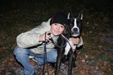  (10).webp