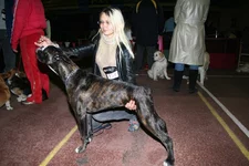  (18).webp