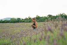 _Лавандовый луг (3).webp