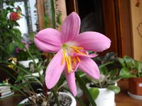 DSC02617.webp