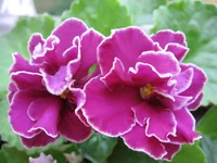  любви_5878.webp
