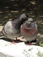 DSC01215.webp