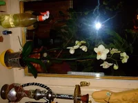 будни 062.jpg