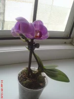 DSC01359.webp