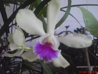 DSC01370.webp