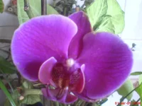DSC01371.webp