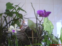 DSC01369.JPG