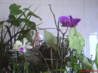 DSC01369.webp