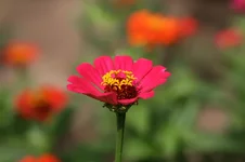 IMG_1160.webp