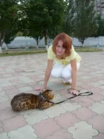 9.webp