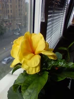 PIC-0308.webp
