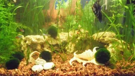 SAM_1706.webp SAM_1706.webp