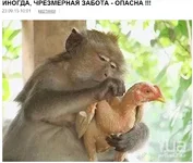 bandicam 2015-09-30 19-06-51-180.webp