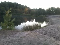 0010.webp