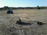 0011.webp