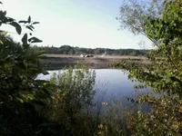 0016.webp
