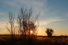 01.webp