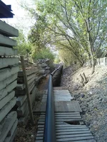 69m2bU3rmcQ.webp