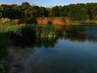 3x4_03.webp