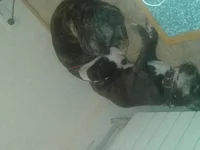 20151008_214405[1].webp