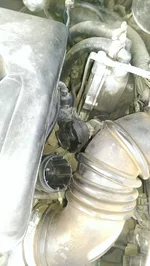 IMAG0979.webp
