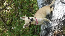 20150910_111543.webp
