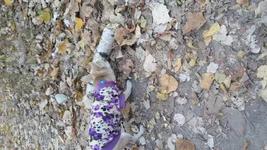 20151005_074411.webp