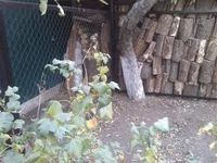 IMG_20151014_162431[1].webp