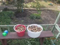  002.webp