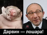 gepa.webp