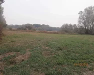  044.webp