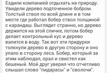 Vzogi_RBt0Y.webp