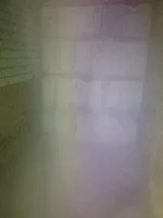 P2VlyqW5RtM.webp