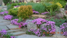 05.05.08_.webp