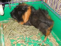 DSCN4393.webp