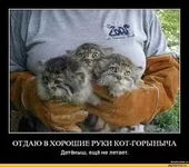 images (2).webp