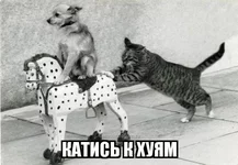 0306130336074186.webp