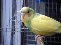 DSC06591.webp