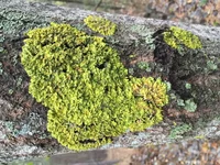 IMG_5862.jpg