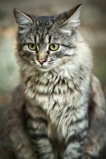 IMG_0796-2.webp