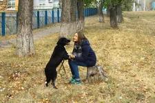 по душам.webp