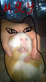 20150724_009.webp