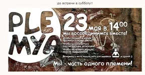 .webp