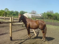DSC04116_resize.webp
