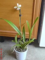 DSC01444.webp