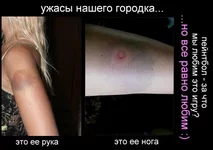 x_b4577ce6.webp