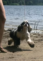 45906b0a3128.webp