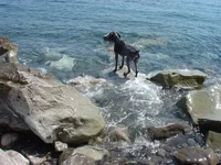 DSC03664_resize.webp